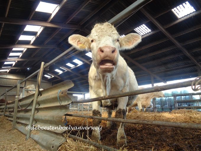 Wat doe je daar?