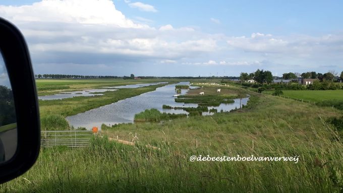 Pootje baden in natuurgebied Klaasjeswater.